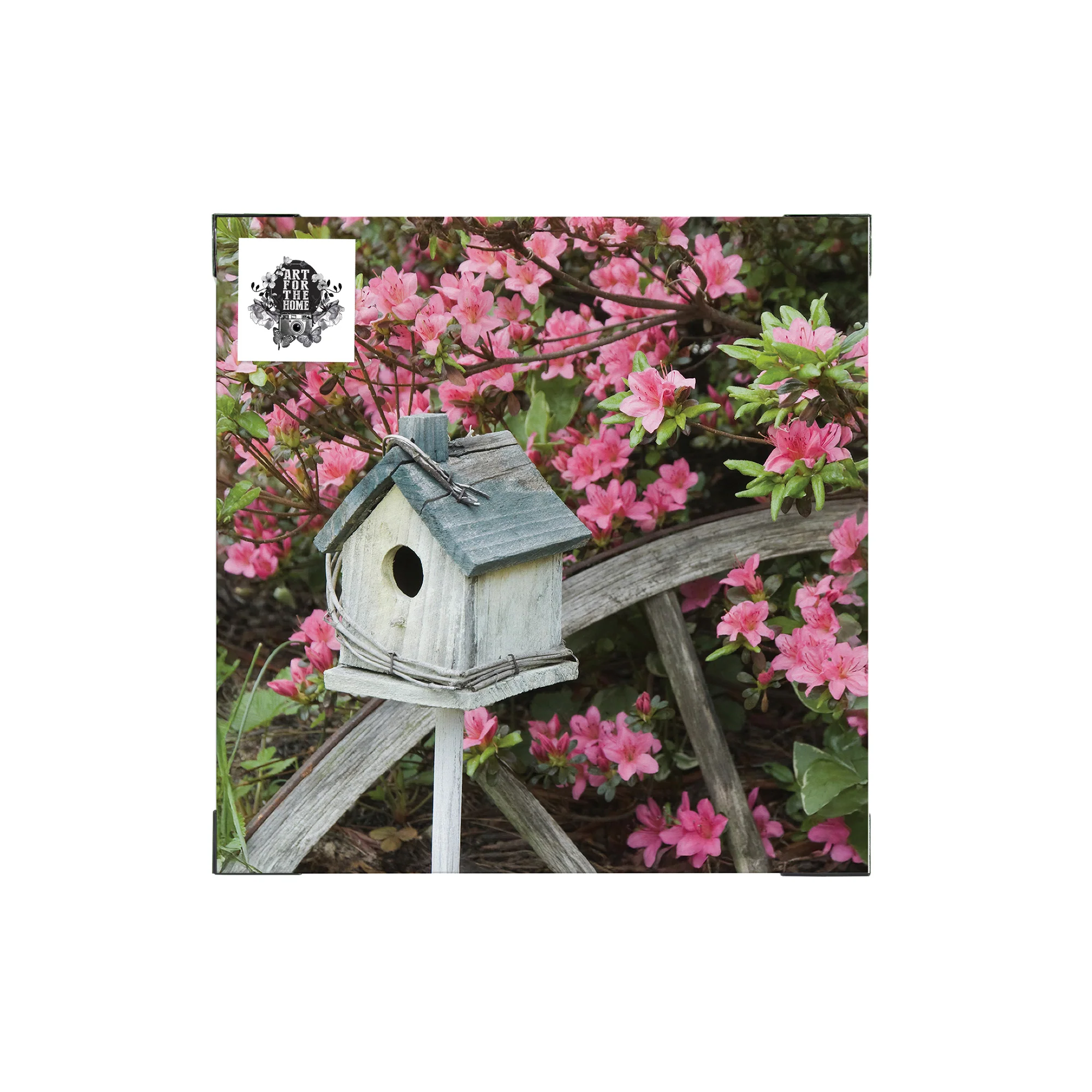 Miniatuur 6