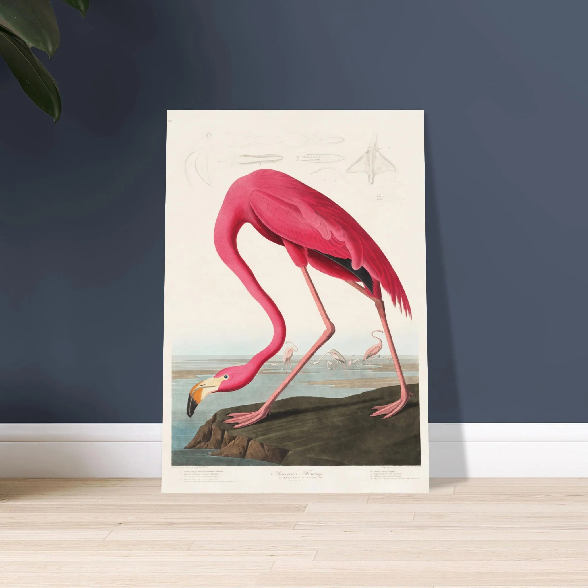Miniatuur 4