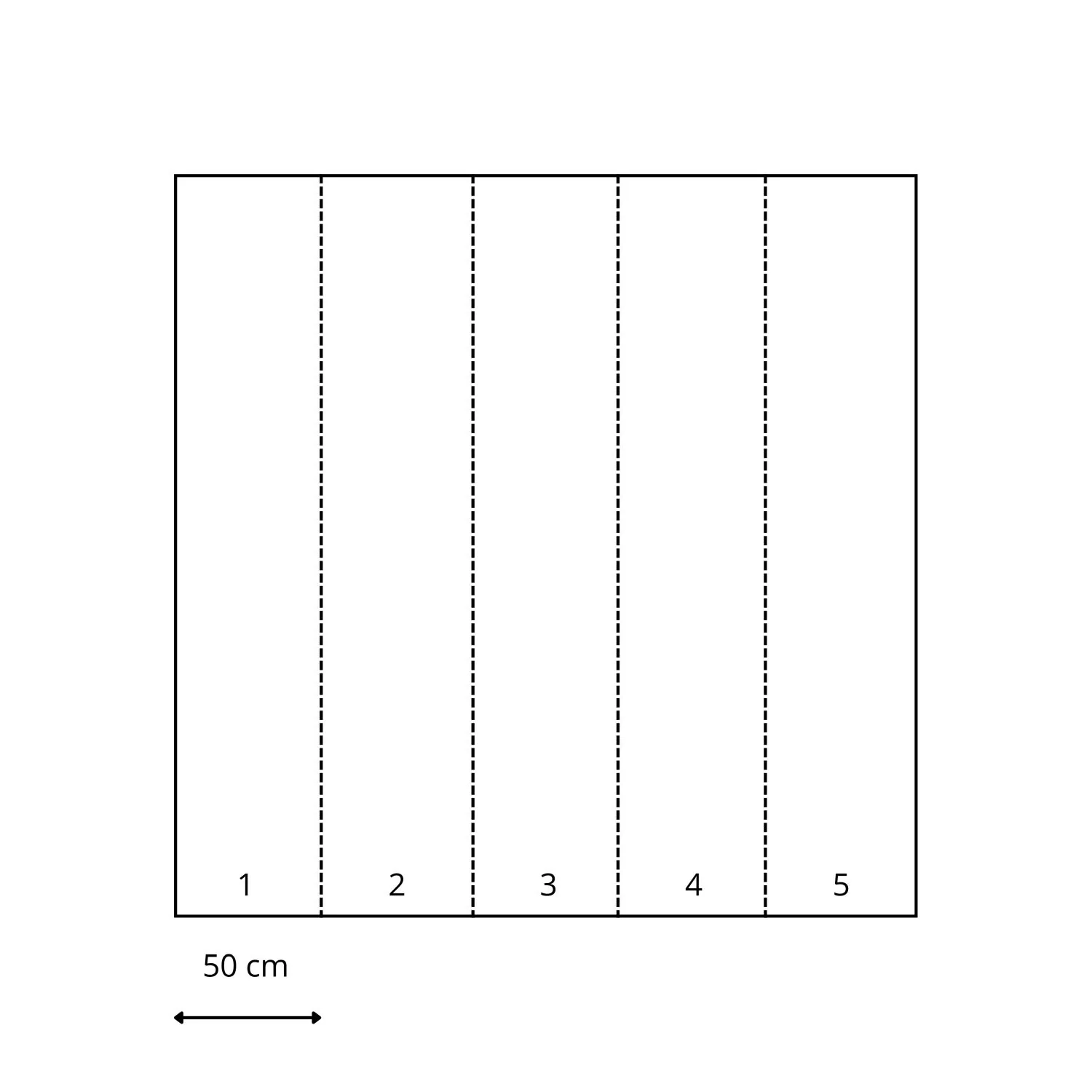 Miniatuur 4