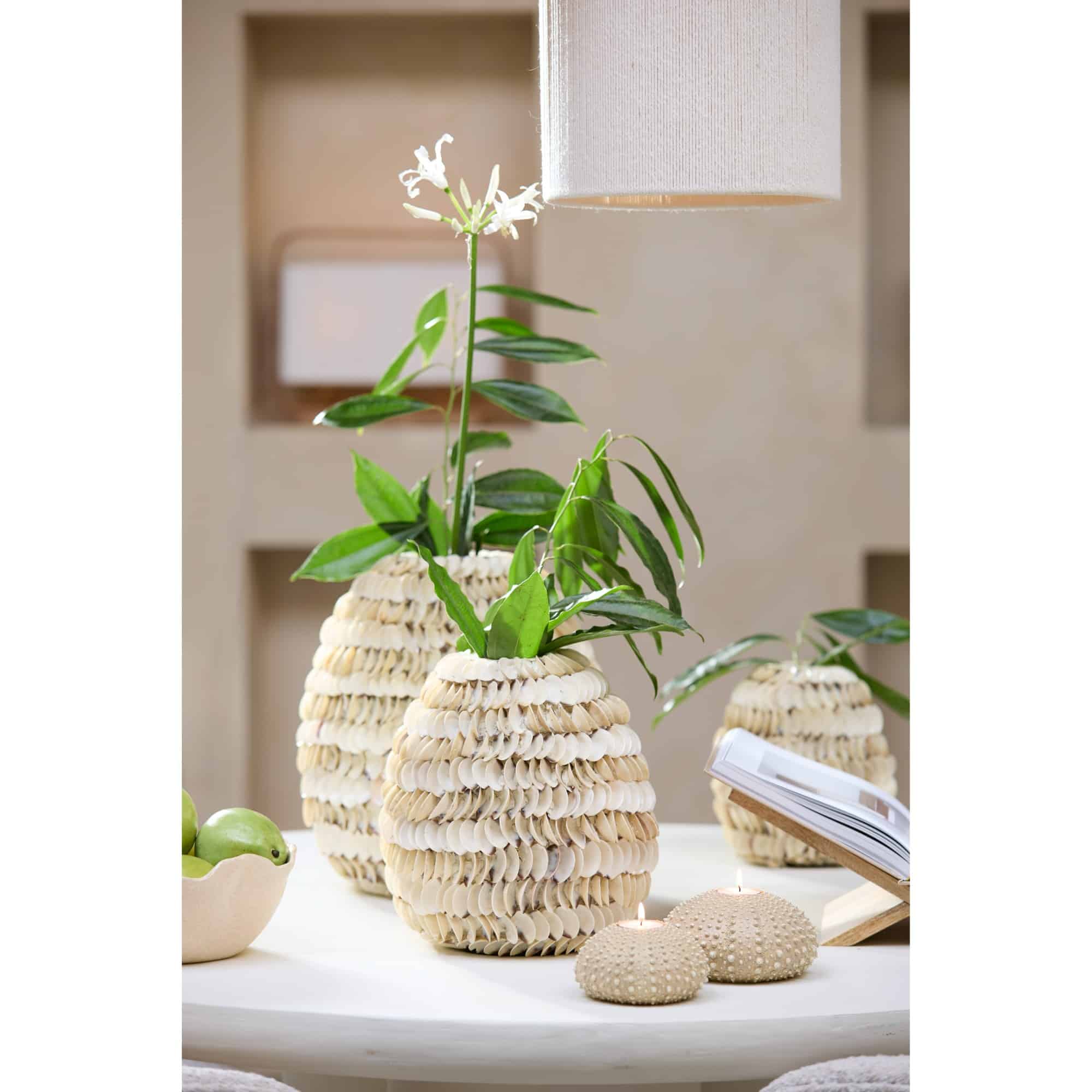 Miniatuur 2