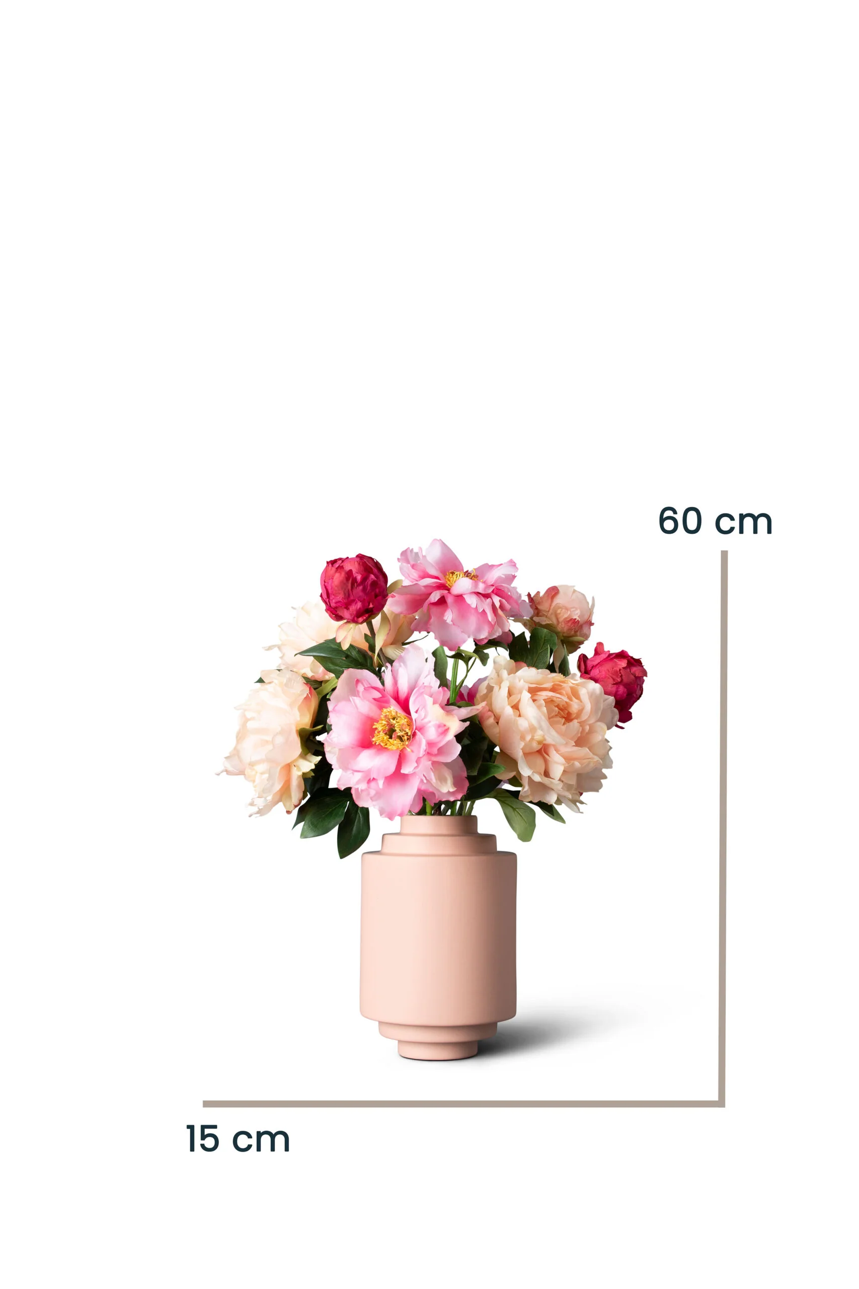 Miniatuur 4