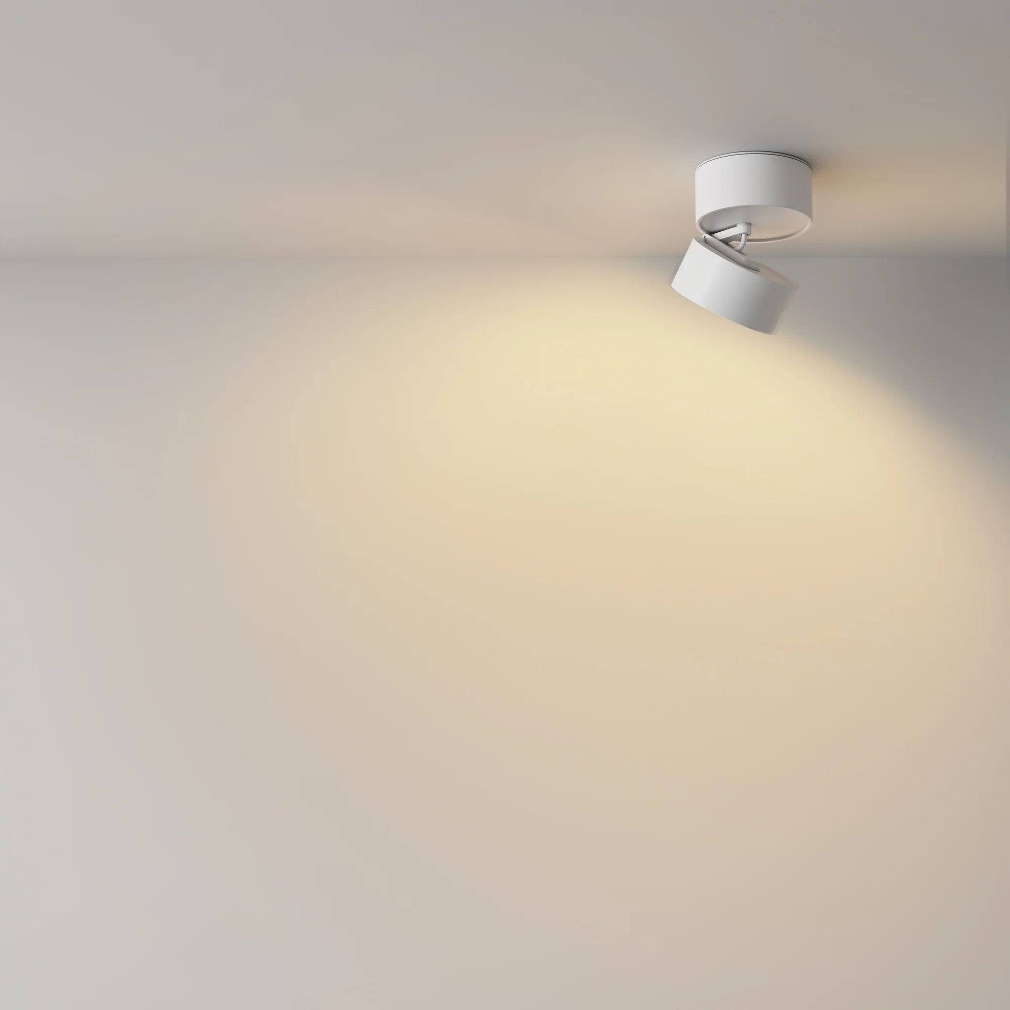 Miniatuur 5
