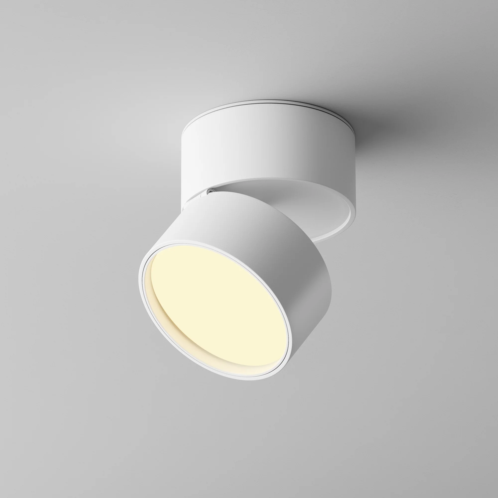 Miniatuur 6