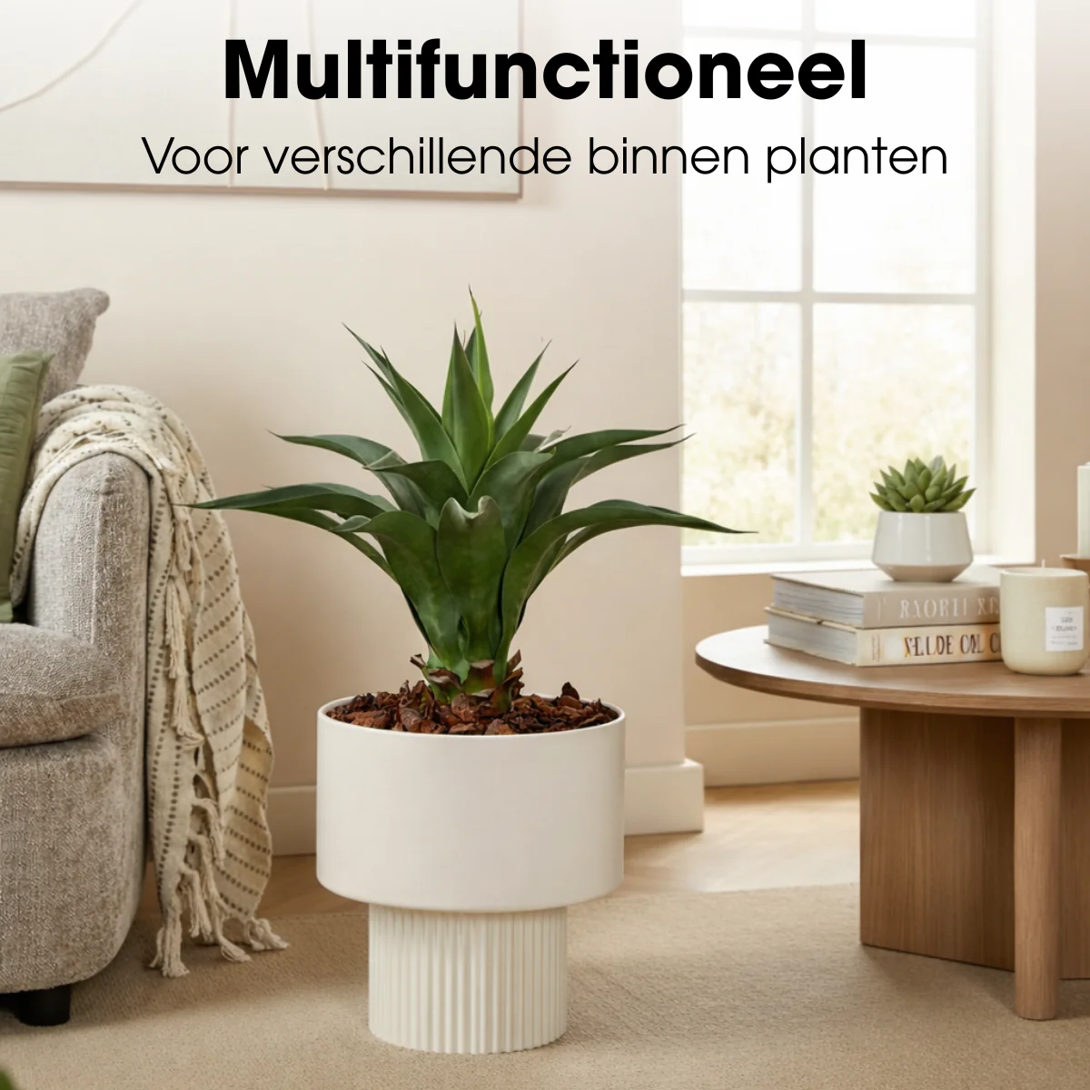 Miniatuur 6