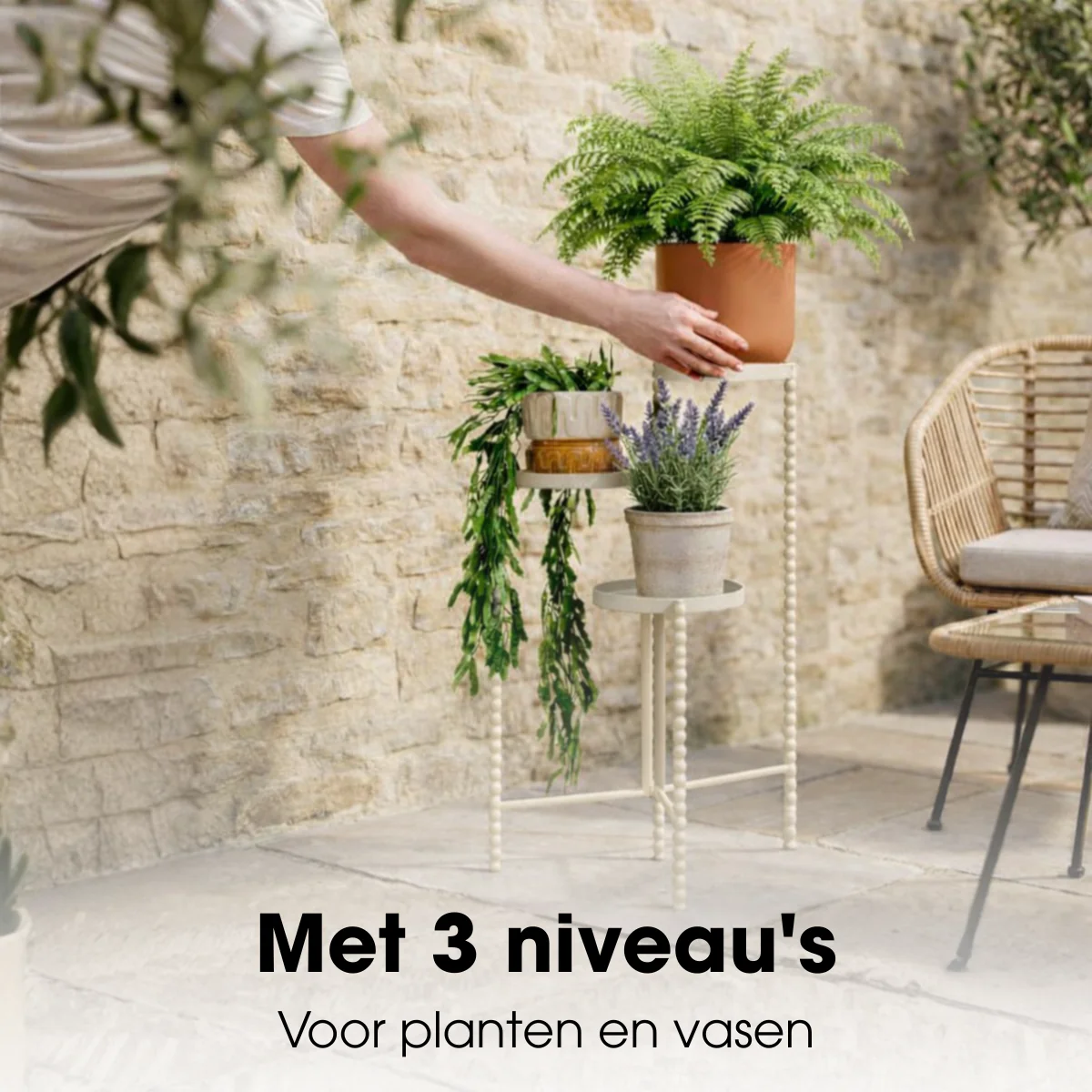 Miniatuur 5