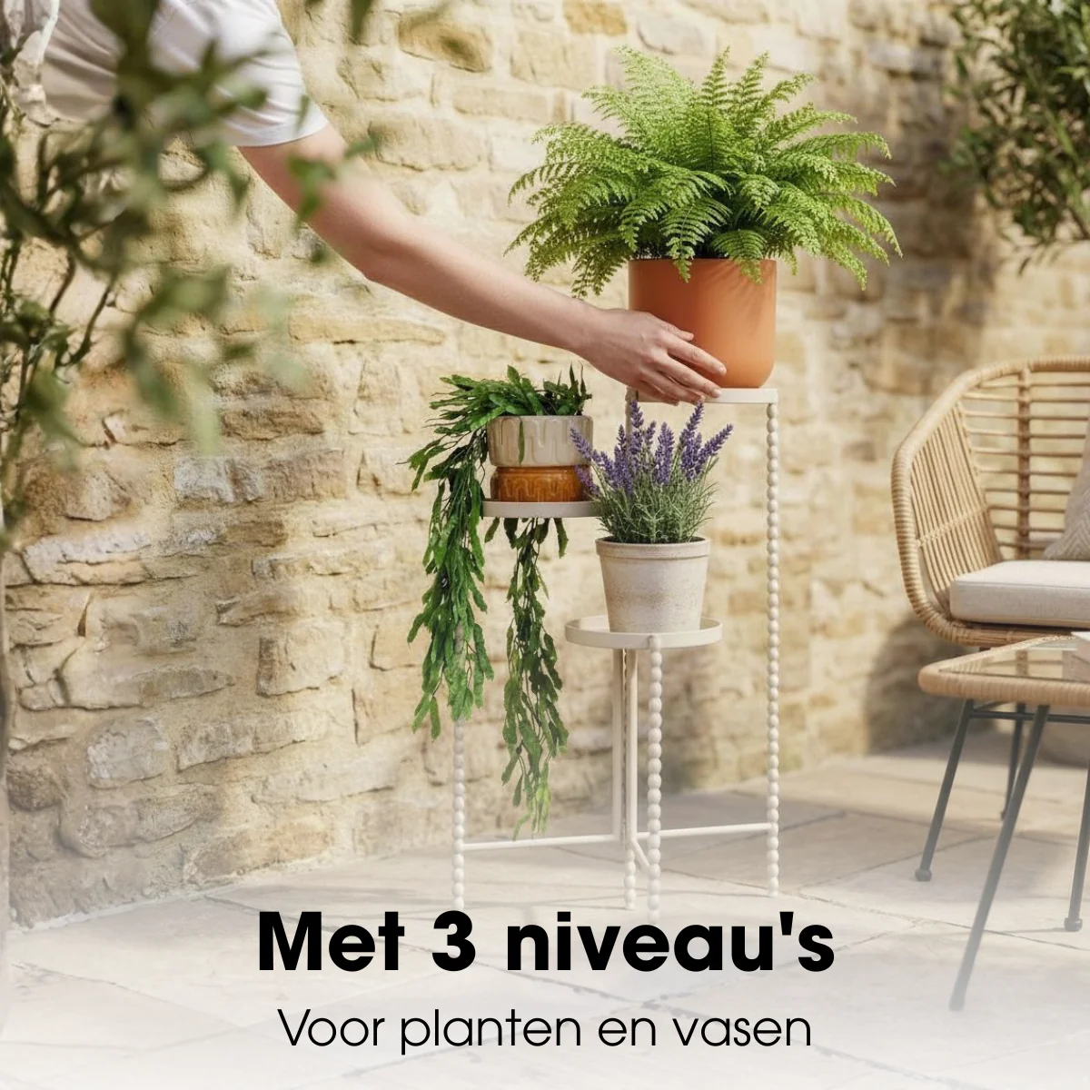 Miniatuur 5