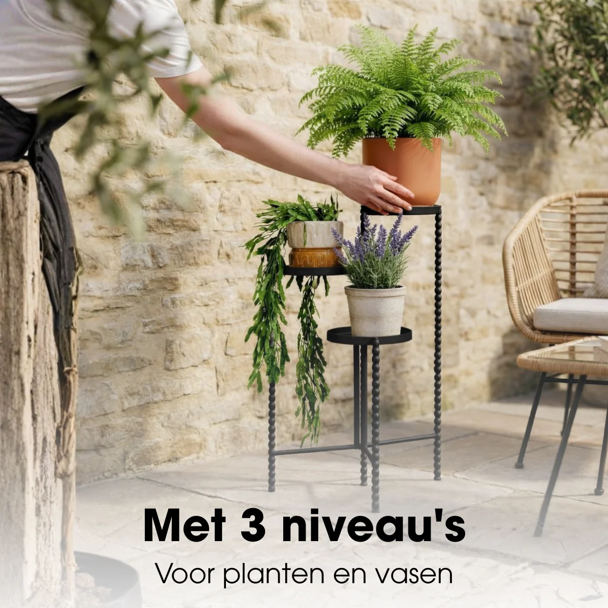 Miniatuur 5