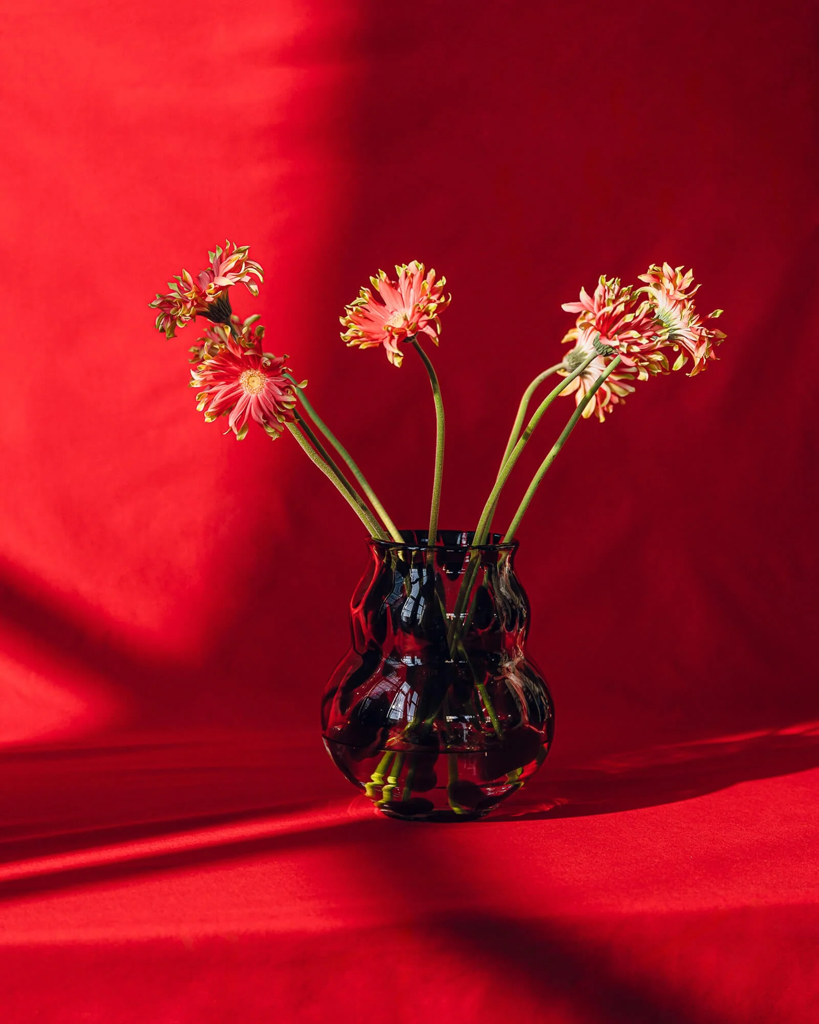 Miniatuur 5