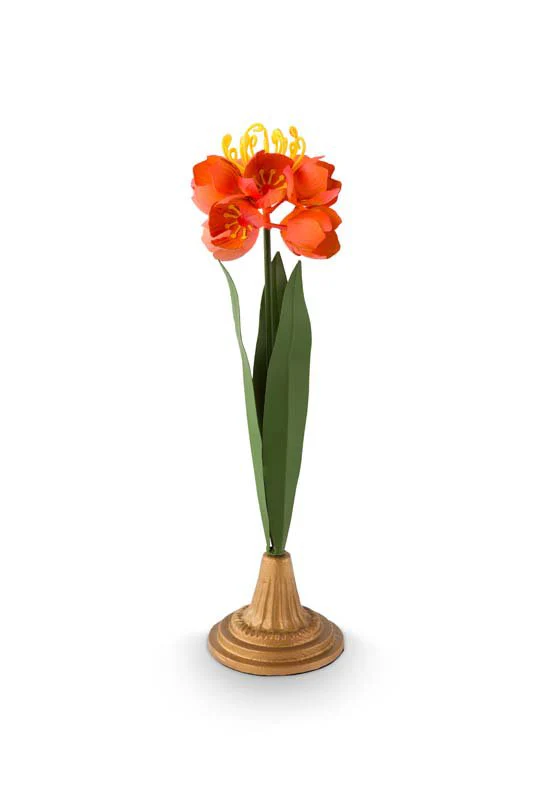 Miniatuur 1