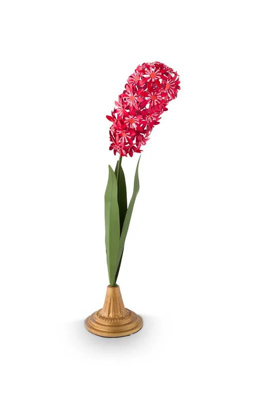 Miniatuur 1