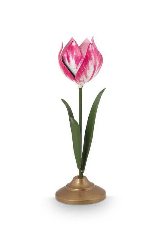 Miniatuur 1